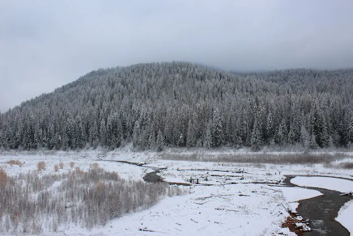 Mill Pond Campground Picture 10