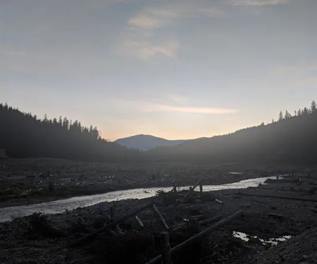 Mill Pond Campground