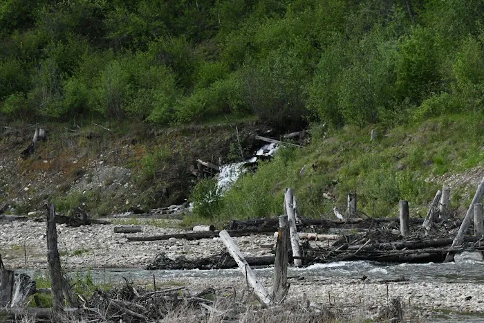Mill Pond Campground Picture 4