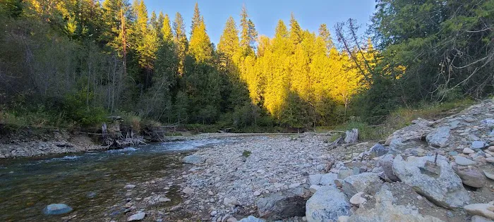Mill Pond Campground Picture 3