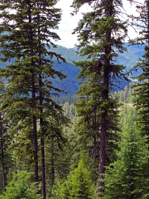 Grandview Campground Picture 5