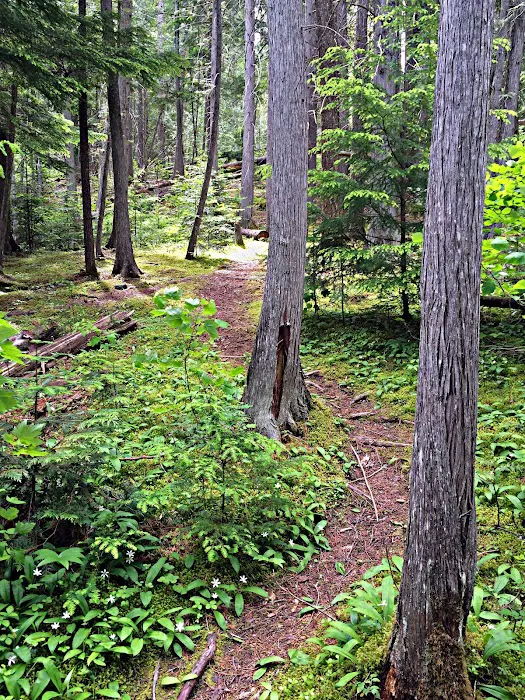 Grandview Campground Picture 6