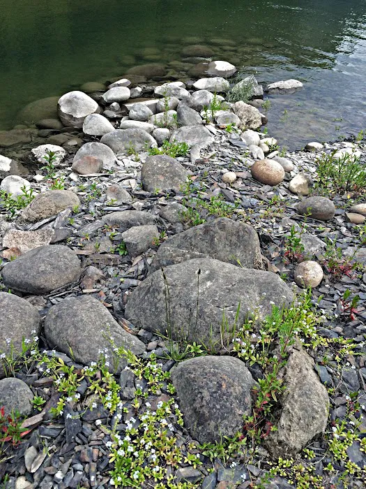 Grandview Campground Picture 2