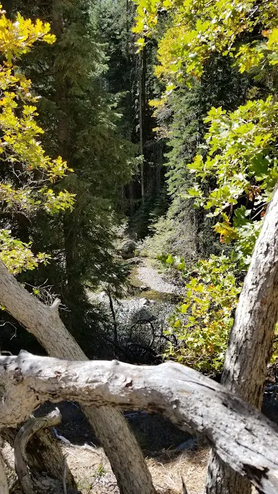 Big Flat Campground Picture 10