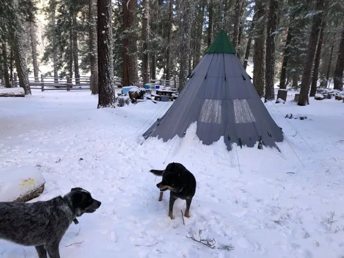 Big Flat Campground Picture 7
