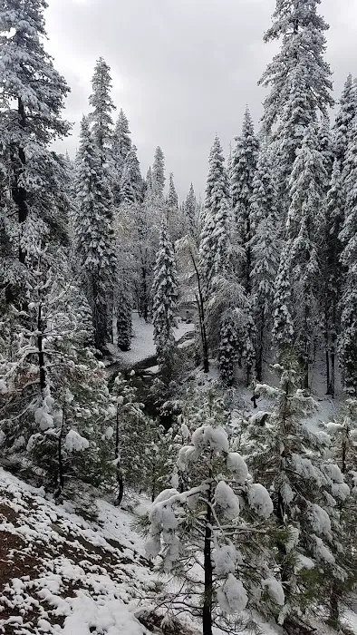 Big Flat Campground Picture 5