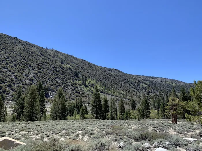 East Fork Campground Picture 1