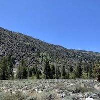 East Fork Campground ico