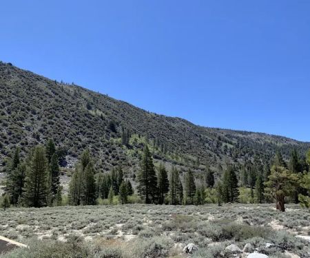 East Fork Campground