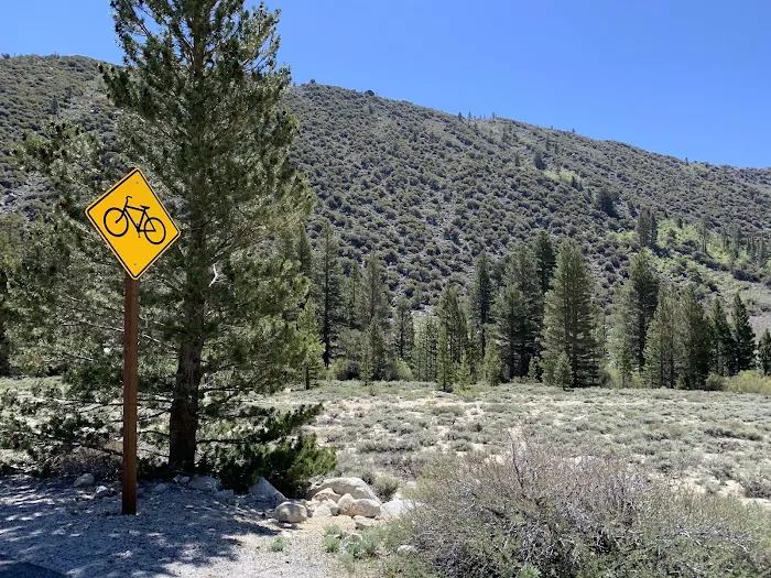 East Fork Campground Picture 2