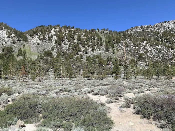 East Fork Campground Picture 3