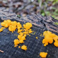 Boise Creek Campground ico