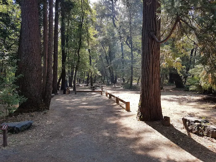 Boise Creek Campground Picture 8
