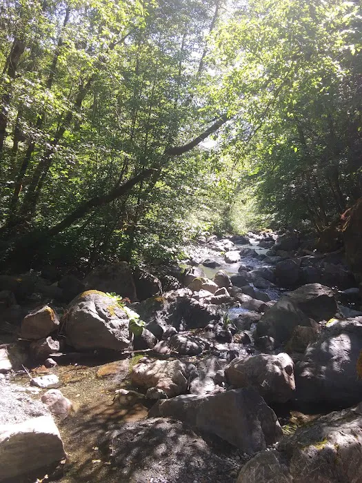 Boise Creek Campground Picture 7