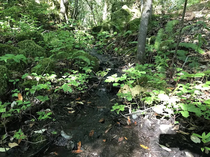 Boise Creek Campground Picture 4