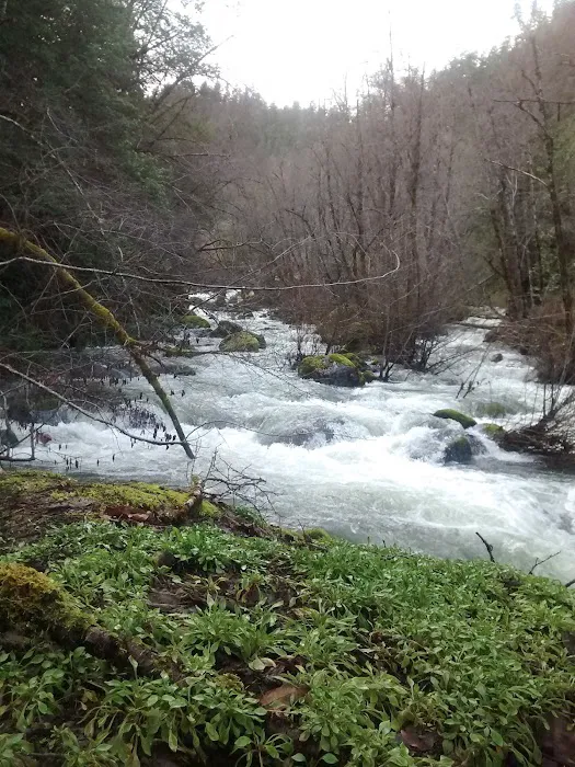 Boise Creek Campground Picture 10