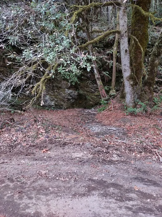 East Fork Campground Picture 6