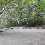 East Fork Campground