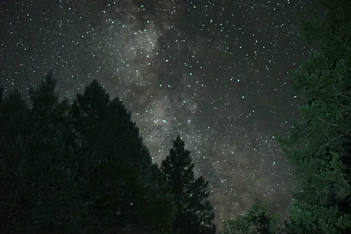 Boy Scout Cove Camp Picture 4