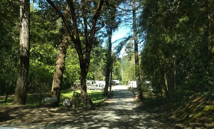 Creekside Cabins & Rv Resort Picture 8