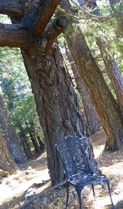 The Ridgetop Camp Picture 6