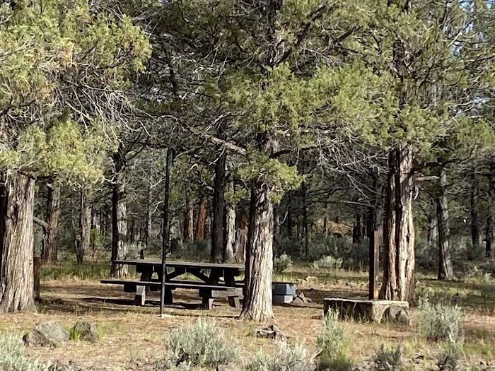 Shafter Campground Picture 7