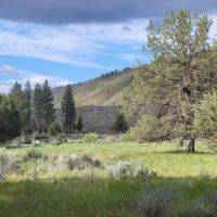 Shafter Campground ico