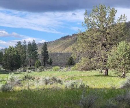 Shafter Campground