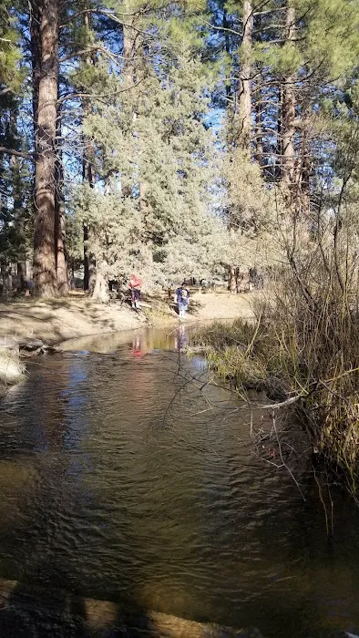 Shafter Campground Picture 10