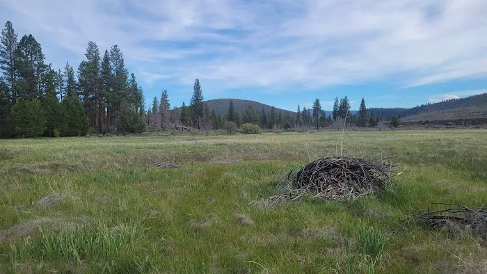Shafter Campground Picture 3