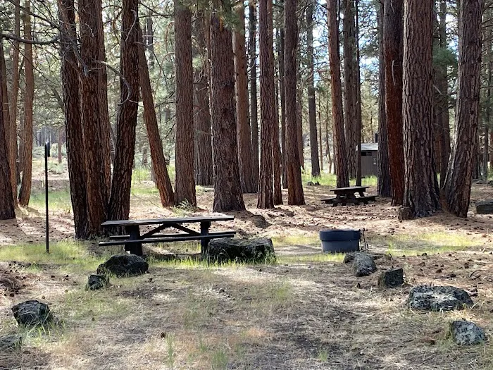 Shafter Campground Picture 9
