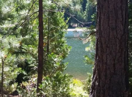 Juanita Lake Group Site