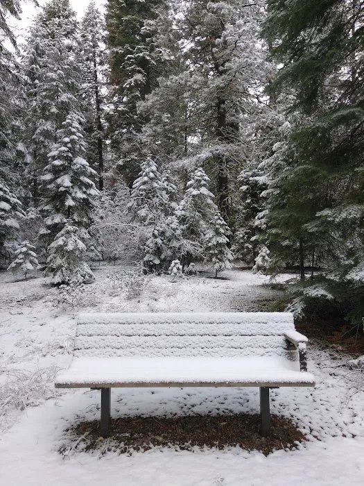 Juanita Lake Group Site Picture 9