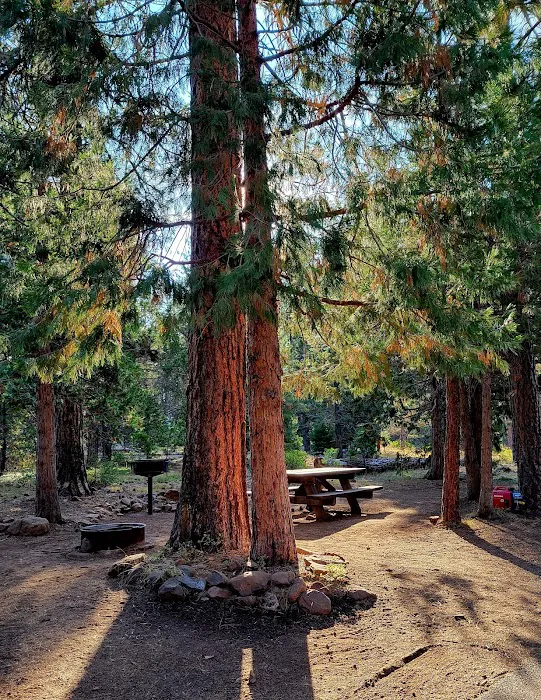 Juanita Lake Campground-Macdoel Picture 2