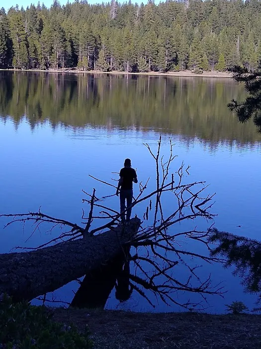 Juanita Lake Campground-Macdoel Picture 7