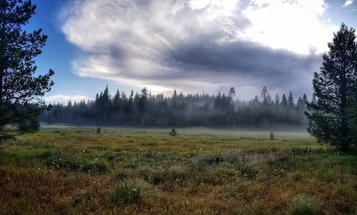 Martin's Dairy Campground Picture 1