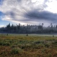 Martin's Dairy Campground ico