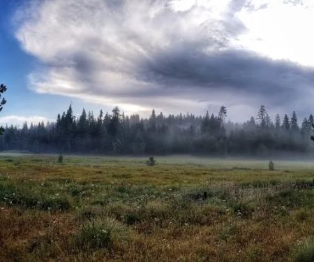 Martin's Dairy Campground