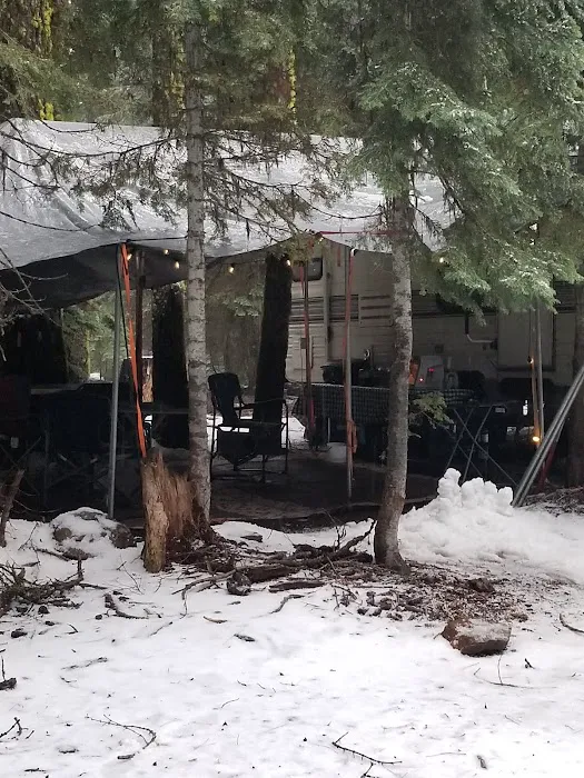 Martin's Dairy Campground Picture 6