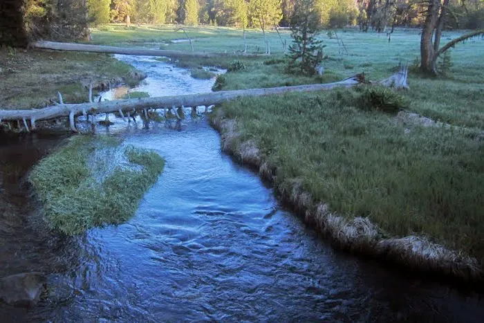 Martin's Dairy Campground Picture 7