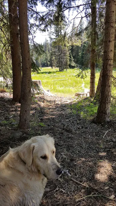 Martin's Dairy Campground Picture 9