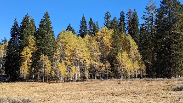 Martin's Dairy Campground Picture 4
