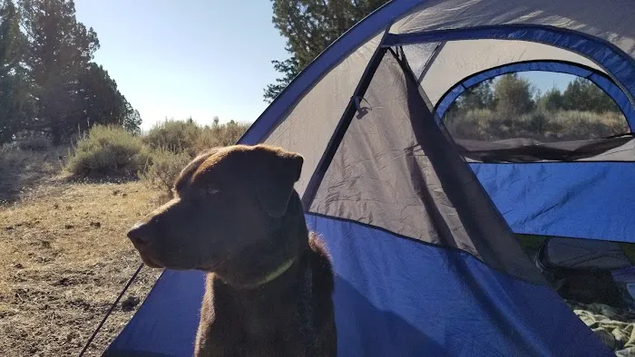 Indian Well Campground Picture 3