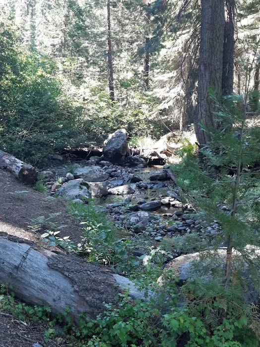 Hidden Horse Campground Picture 7