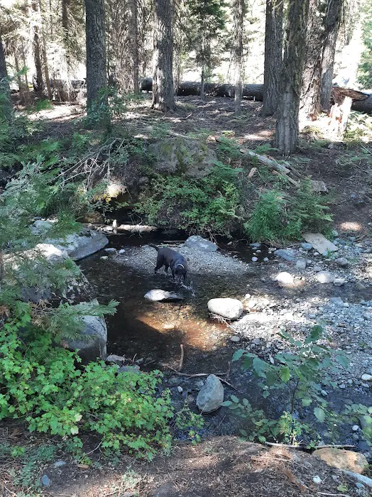 Hidden Horse Campground Picture 8