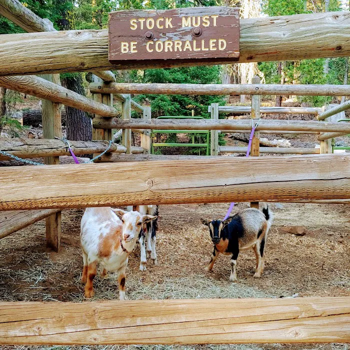 Hidden Horse Campground Picture 9