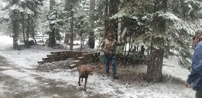 Hidden Horse Campground Picture 4