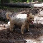 Trail Creek Campground
