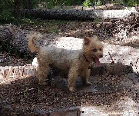 Trail Creek Campground