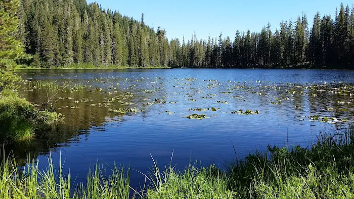 Boulder Lake Picture 6